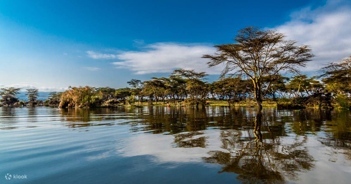 Naivasha Villas & Apartments